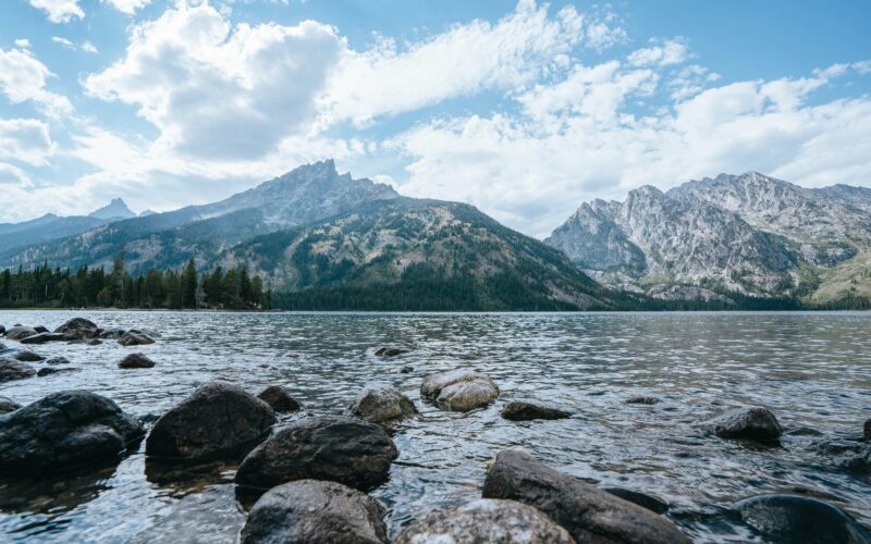 ivana-sluneckova-eH3ZwJvTgc0-unsplash